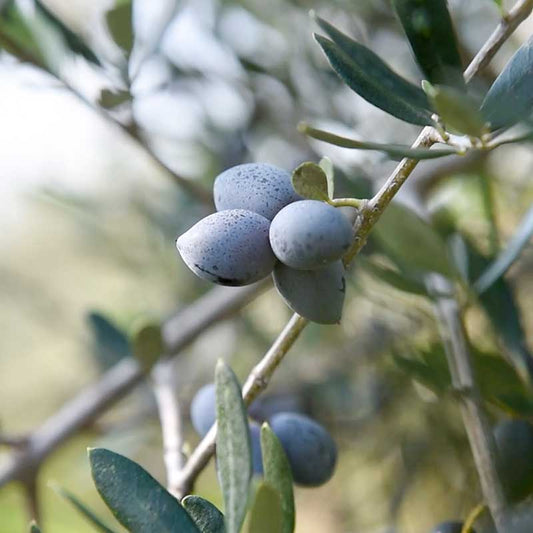 Gute Nachrichten aus Griechenland