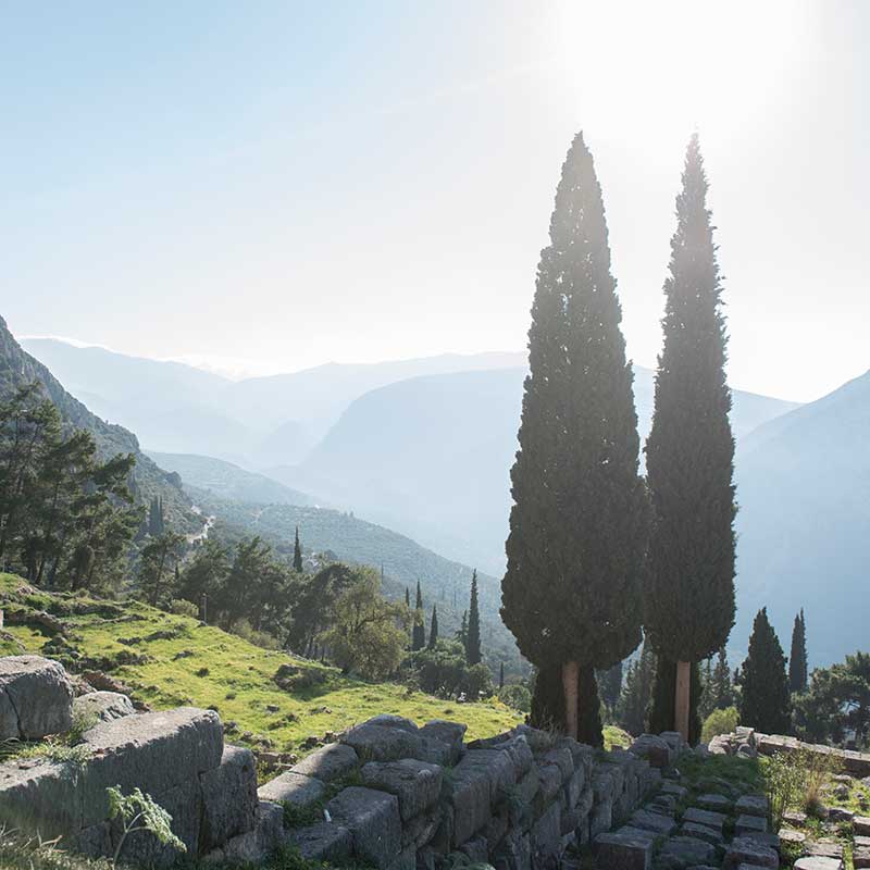 Die Olivenölbande hilft in Griechenland